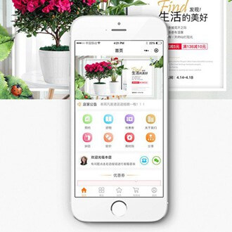 宝应门店微商城小程序开发