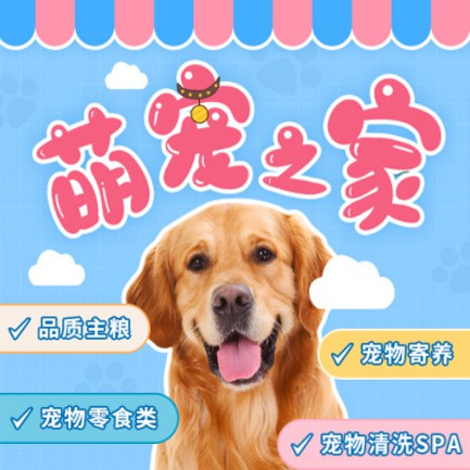 宝应萌宠之家小程序开发